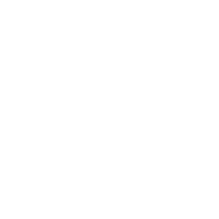 cerveau cerveau
